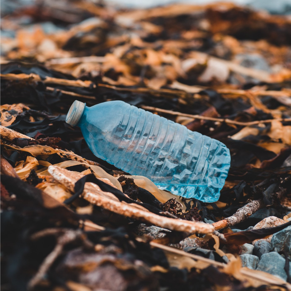 rPET bottle